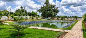 TS Factory Pond